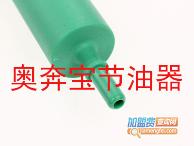 奥奔宝节油器品牌LOGO