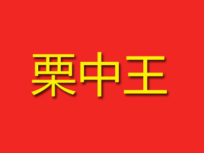 栗中王加盟费