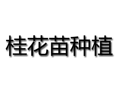 桂花苗种植品牌LOGO