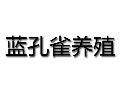 蓝孔雀养殖加盟费