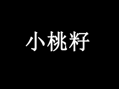 小桃籽加盟费