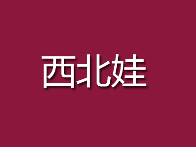 西北娃自助转转小火锅品牌LOGO