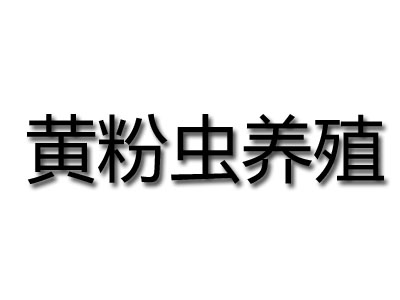 黄粉虫养殖品牌LOGO