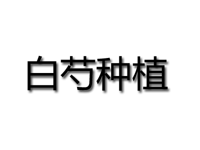 白芍种植品牌LOGO