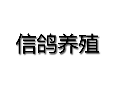 信鸽养殖品牌LOGO