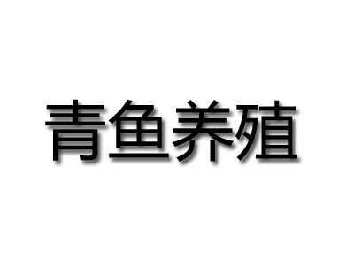 青鱼养殖品牌LOGO