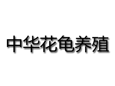 中华花龟养殖品牌LOGO