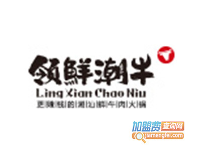 领鲜潮牛加盟费
