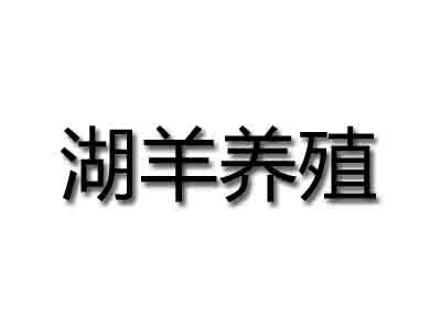 湖羊养殖加盟