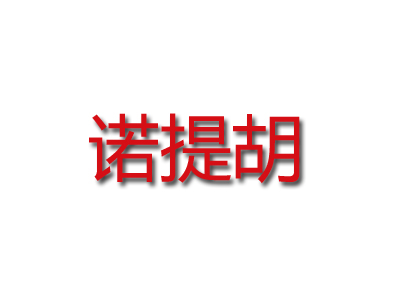 诺提胡加盟费