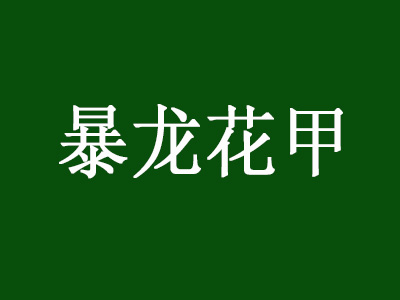 暴龙花甲品牌LOGO