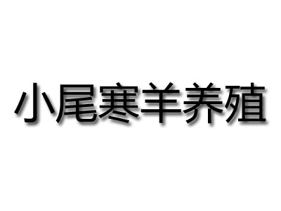 小尾寒羊养殖品牌LOGO