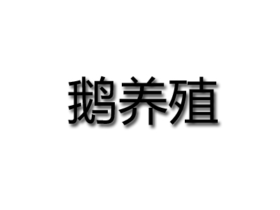 鹅养殖品牌LOGO