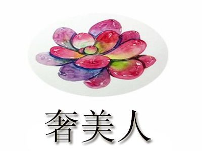 奢美人品牌LOGO