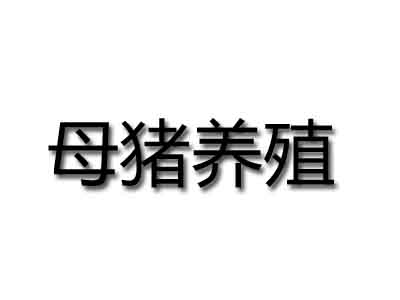 母猪养殖品牌LOGO