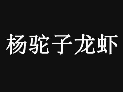 杨驼子龙虾品牌LOGO