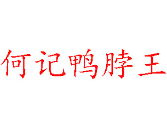 何记鸭脖王品牌LOGO