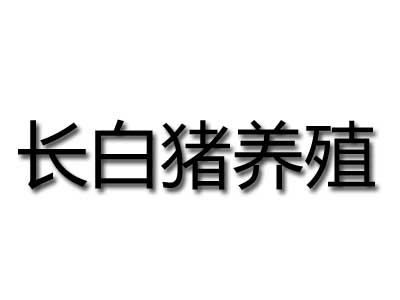 长白猪养殖加盟费