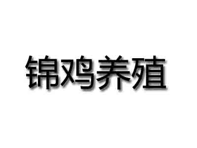 锦鸡养殖品牌LOGO