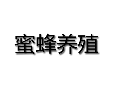 蜜蜂养殖品牌LOGO