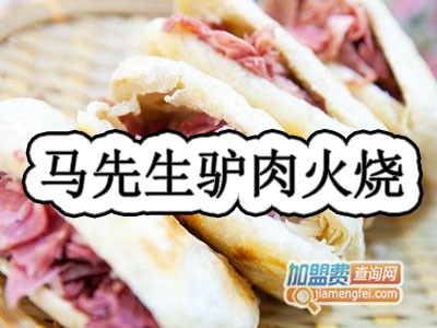 马先生驴肉火烧加盟