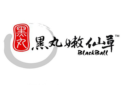 黑丸嫩仙草加盟费