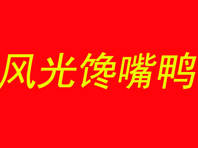 风光馋嘴鸭加盟费