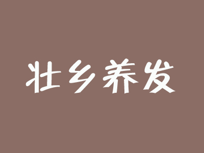 壮乡养发品牌LOGO