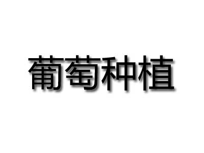 葡萄种植品牌LOGO