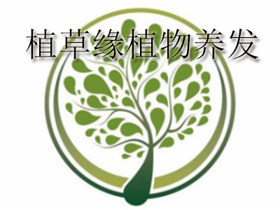 植草缘植物养发品牌LOGO