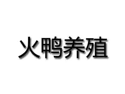 火鸭养殖品牌LOGO