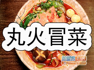 丸火冒菜品牌LOGO