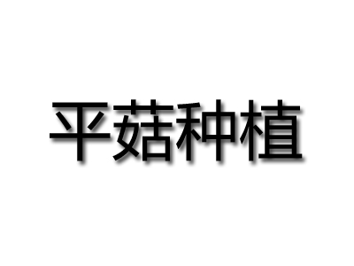 平菇种植品牌LOGO