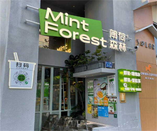 薄荷森林加盟费用