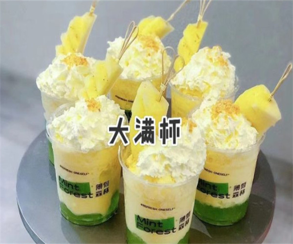薄荷森林加盟费用