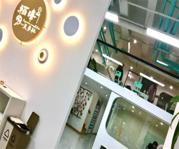 稻泽美学社加盟费用