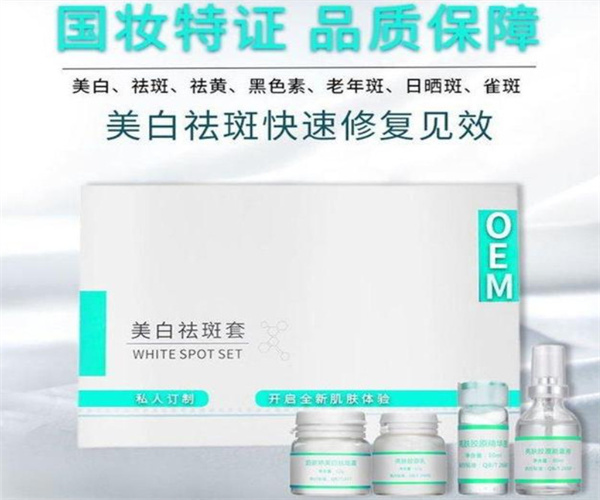 乐伶祛斑加盟费用