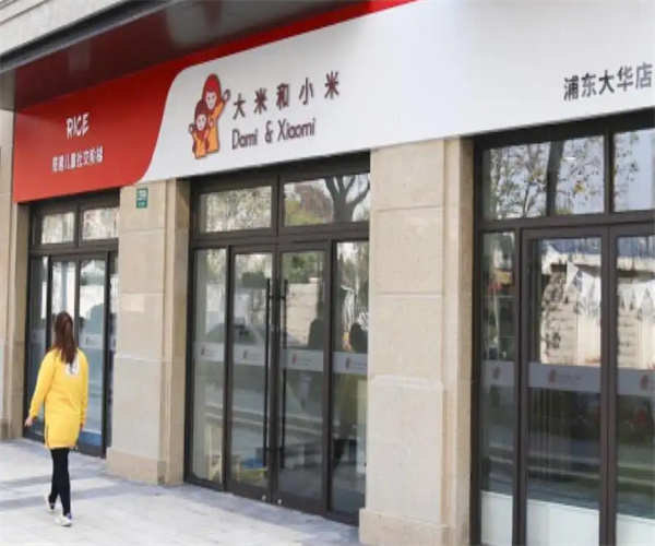大米和小米教育机构加盟费用
