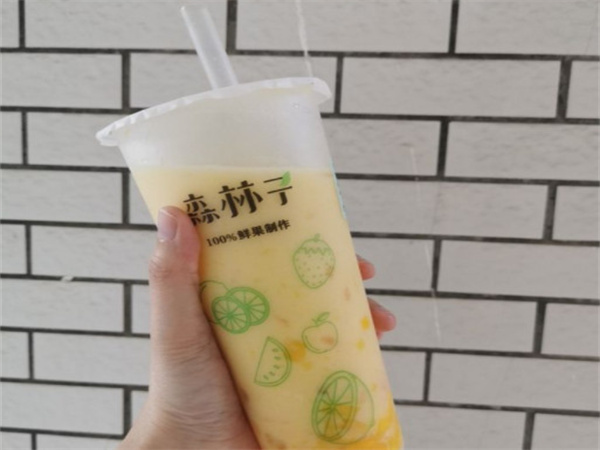 sunlth森林子加盟费用