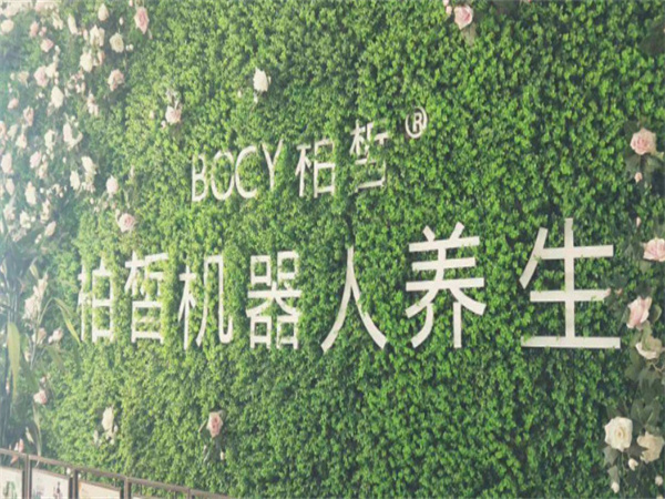 柏皙机器人养生加盟费用