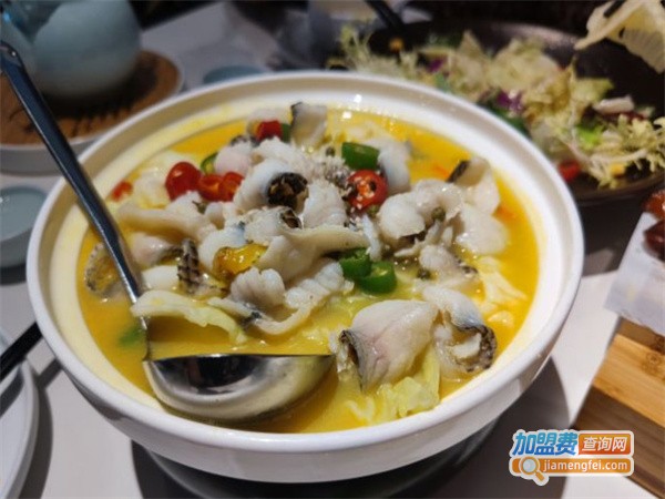 大章鸽加盟费用