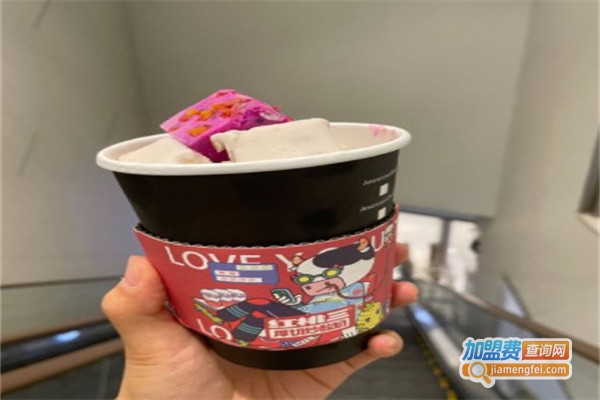 红桃三手工酸奶加盟费用