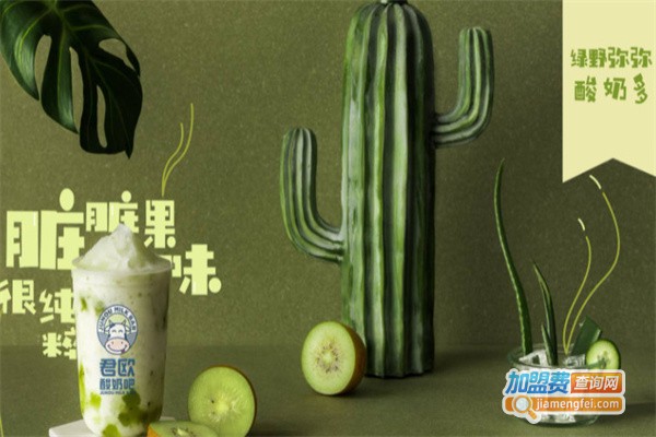 君欧酸奶吧加盟费用