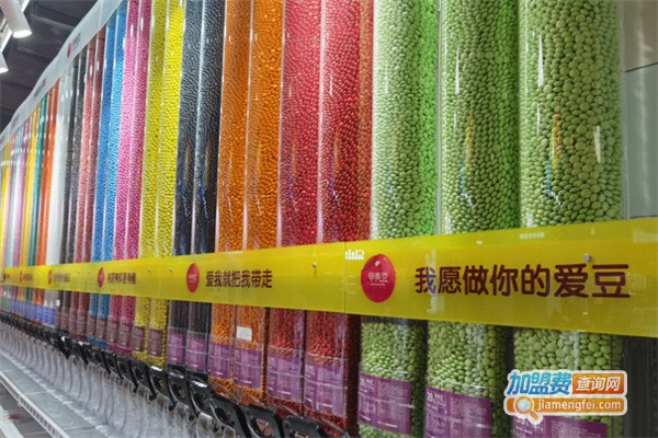 甲壳豆加盟费用