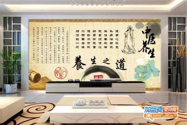 中医推拿理疗养生加盟费用