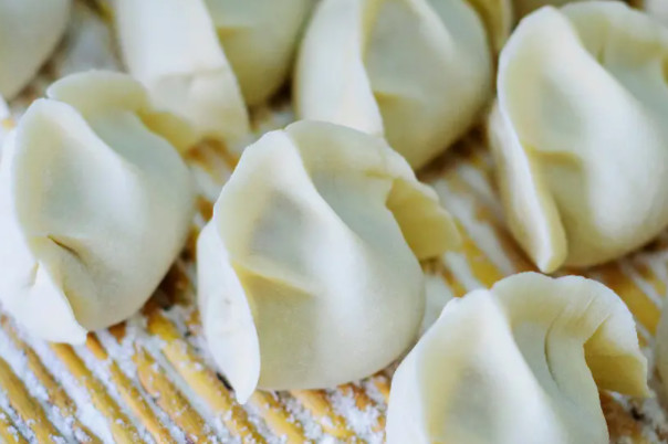 骆驼饺子馆加盟费用