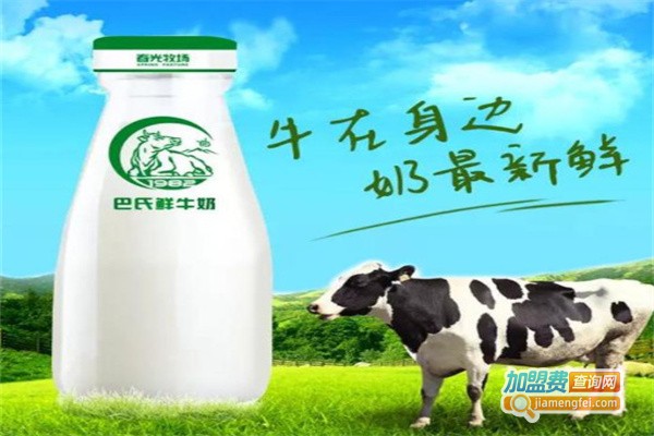 春光乳业加盟费用