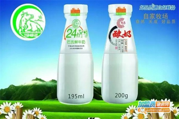春光乳业加盟费用