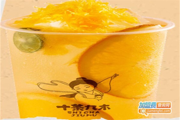 十茶九木加盟费用