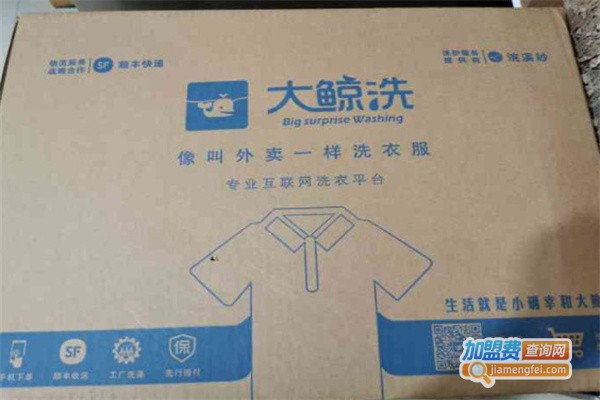 大鲸洗干洗加盟费用